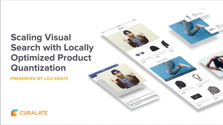 Scaling Visual Search with Locally Optimized Product Quantization

